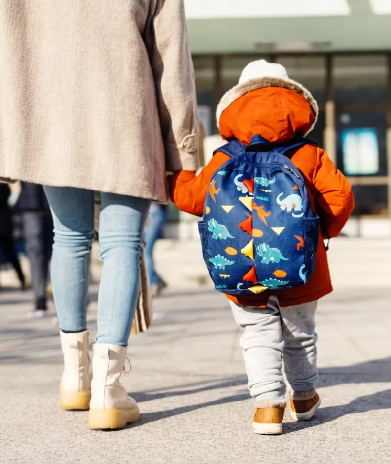 familea-cogito-inscriptions-scolaires